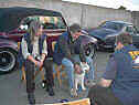 Bild 41